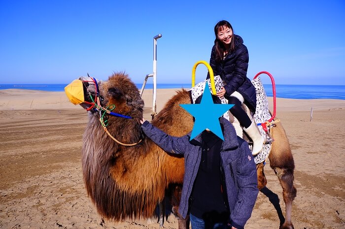 鳥取砂丘では本物のラクダに乗れます！